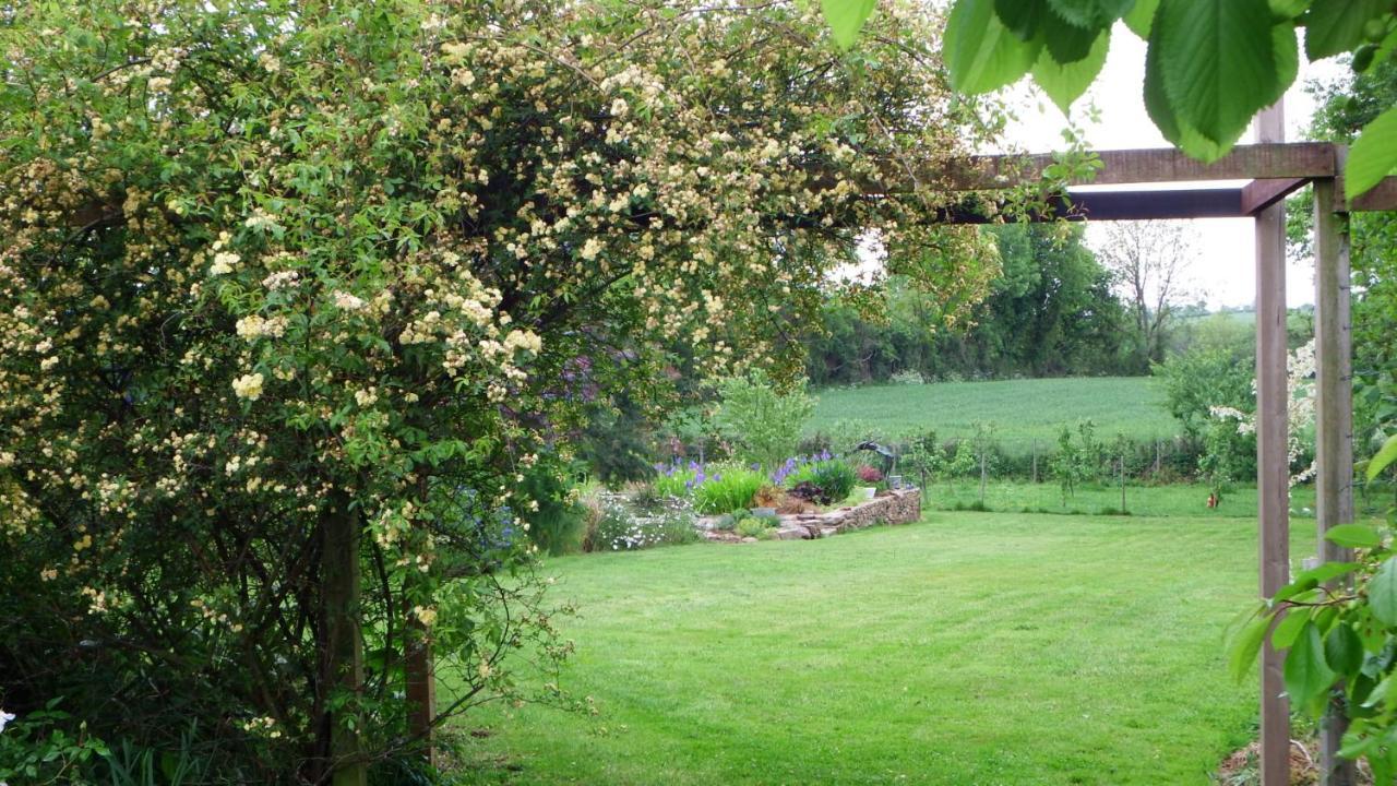 Les Cerisiere Bed & Breakfast Cheffois Екстериор снимка